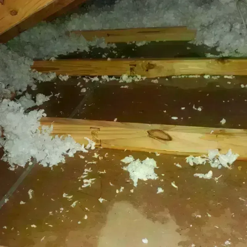 Attic Water Damage in Montclair, VA